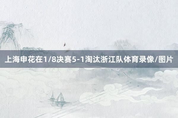 上海申花在1/8决赛5-1淘汰浙江队体育录像/图片