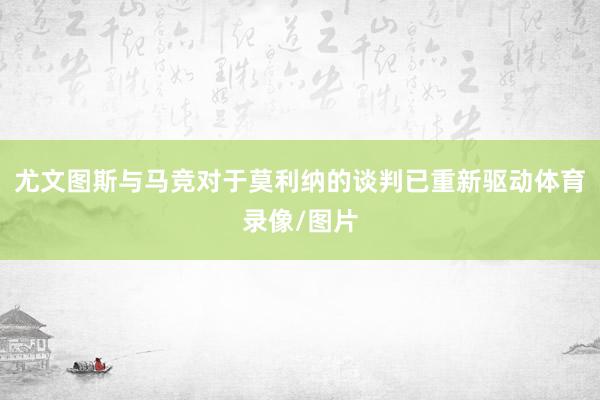 尤文图斯与马竞对于莫利纳的谈判已重新驱动体育录像/图片