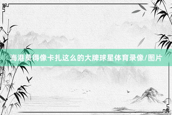 海港莫得像卡扎这么的大牌球星体育录像/图片